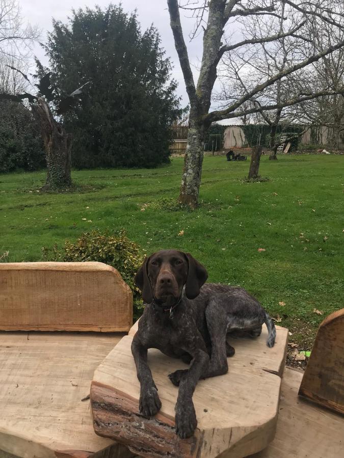 La Forge, Lieu Des Chevilloux Holiday home *